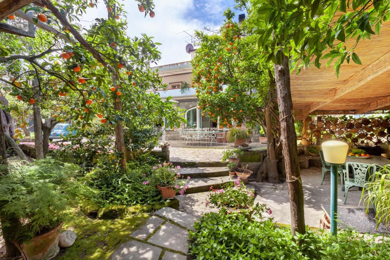 Villa Maresca B&B Piano di Sorrento Exteriér fotografie