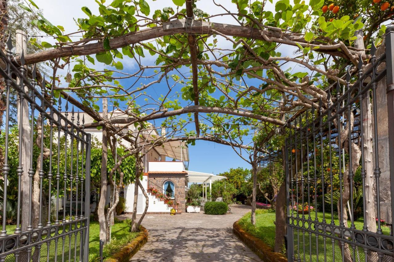 Villa Maresca B&B Piano di Sorrento Exteriér fotografie