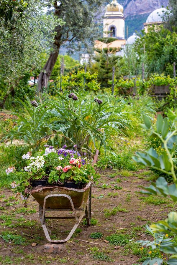 Villa Maresca B&B Piano di Sorrento Exteriér fotografie