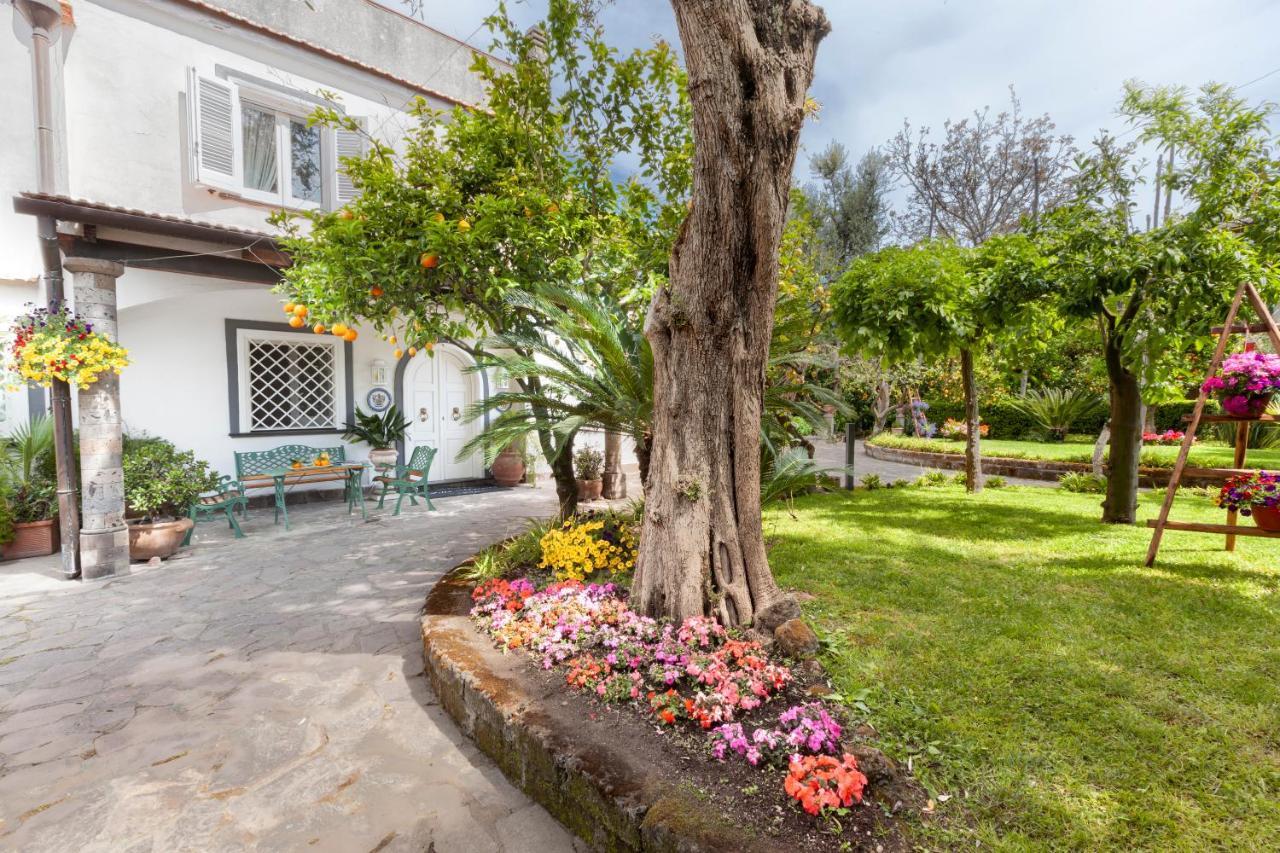 Villa Maresca B&B Piano di Sorrento Exteriér fotografie