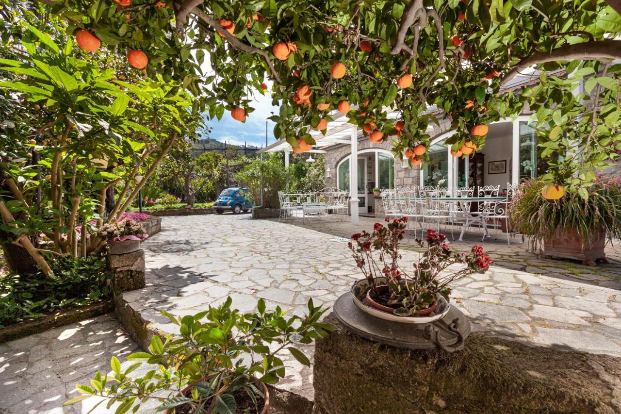 Villa Maresca B&B Piano di Sorrento Exteriér fotografie