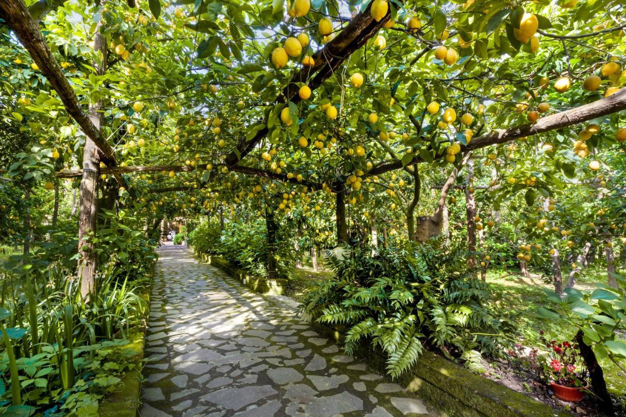 Villa Maresca B&B Piano di Sorrento Exteriér fotografie