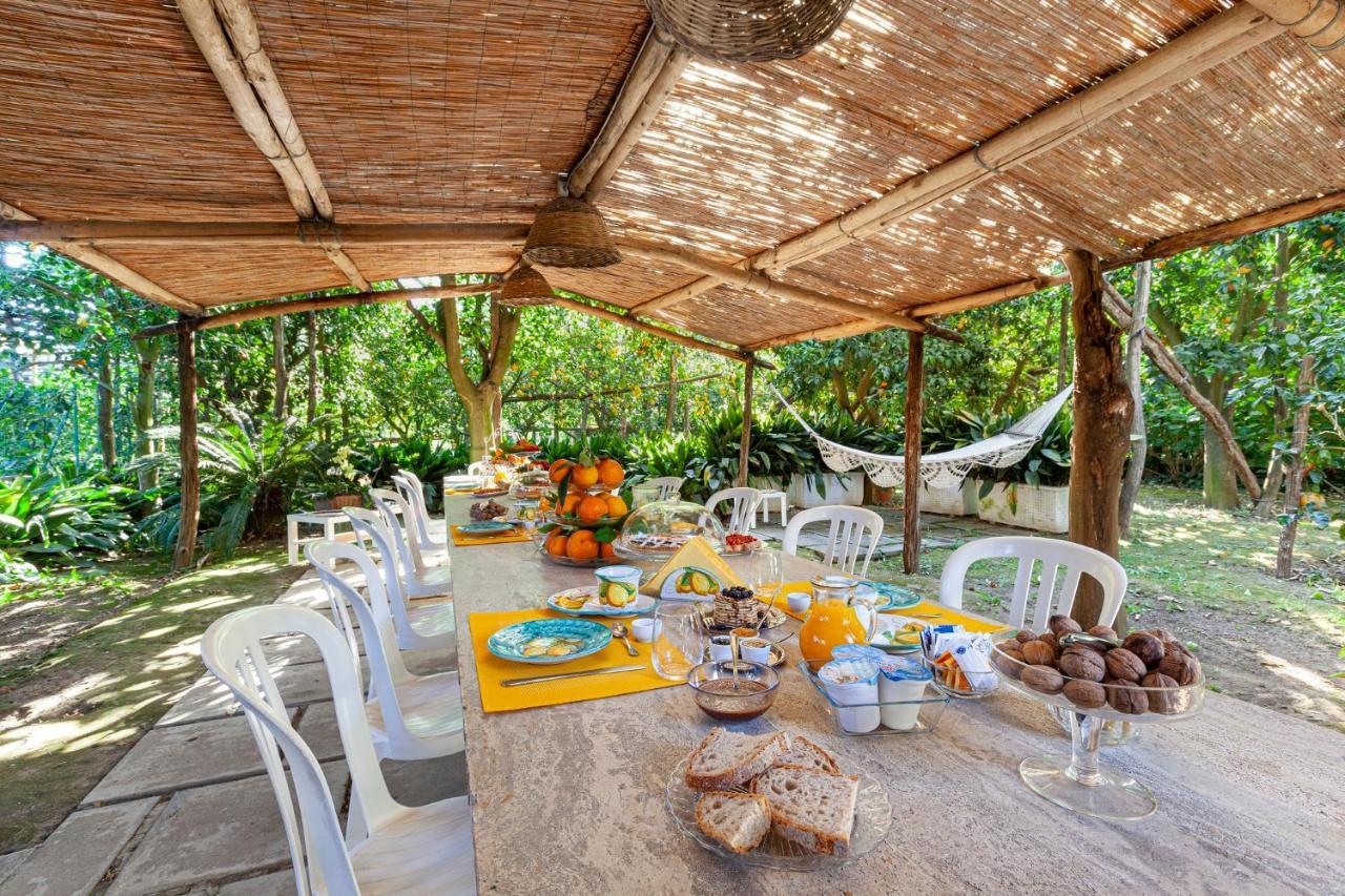 Villa Maresca B&B Piano di Sorrento Exteriér fotografie