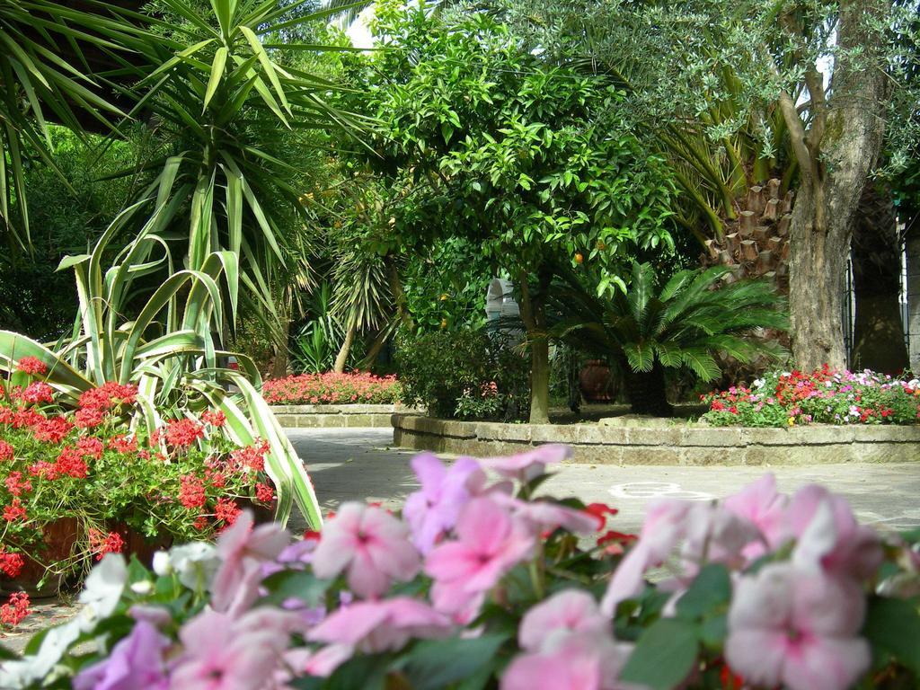 Villa Maresca B&B Piano di Sorrento Exteriér fotografie