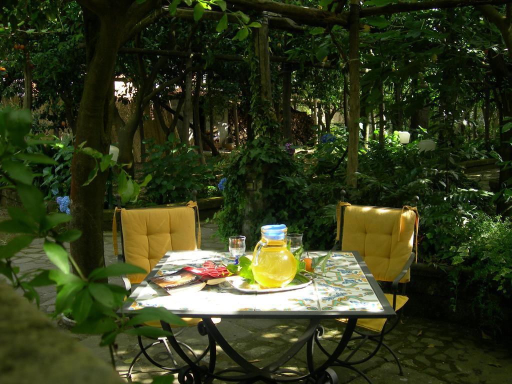 Villa Maresca B&B Piano di Sorrento Exteriér fotografie