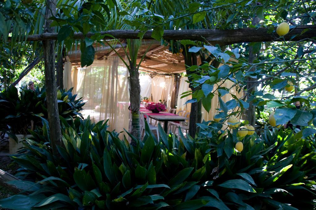 Villa Maresca B&B Piano di Sorrento Exteriér fotografie